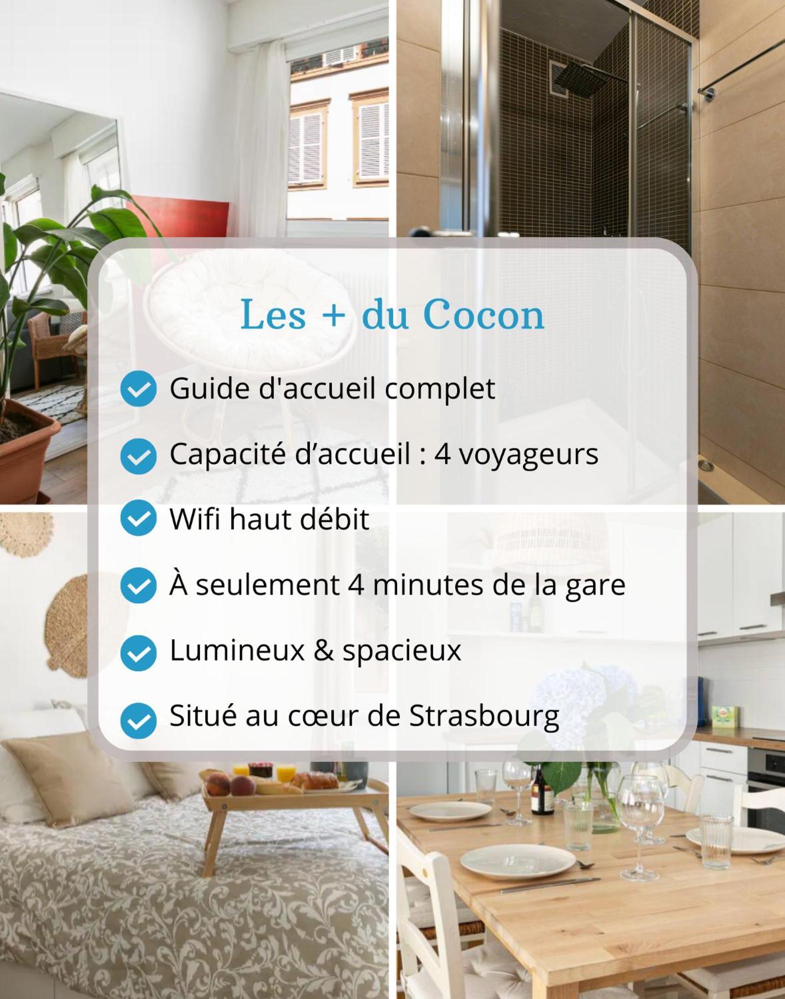 Le Cocon - Proche Gare - Lumineux & Centre Ville - Commerces A Proximite Strasbourg Bagian luar foto