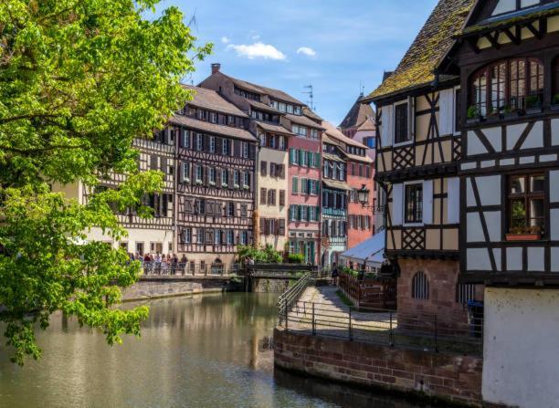 Le Cocon - Proche Gare - Lumineux & Centre Ville - Commerces A Proximite Strasbourg Bagian luar foto